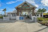 31396 Cabana Rye Avenue - Photo 58