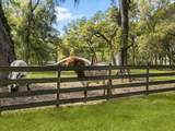 10820 31ST Way - Photo 7