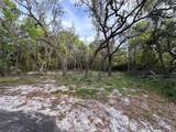 11957 Minnieola Drive - Photo 11