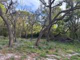 11957 Minnieola Drive - Photo 17