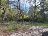 11957 Minnieola Drive - Photo 18