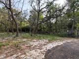 11957 Minnieola Drive - Photo 29