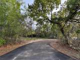 11957 Minnieola Drive - Photo 5