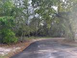11957 Minnieola Drive - Photo 7