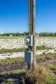 3811 Old Mulberry Road - Photo 19
