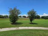 6949 Crested Orchid Drive - Photo 43