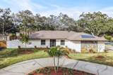 1 Fernery Lane - Photo 38