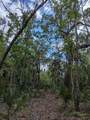 405 Stacy Grove Road - Photo 26
