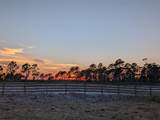 405 Stacy Grove Road - Photo 54
