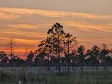 405 Stacy Grove Road - Photo 55