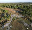 405 Stacy Grove Road - Photo 7