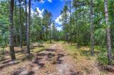 15410 Caruthers Road - Photo 6