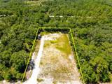 35366 Peanut Drive - Photo 1