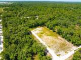 35366 Peanut Drive - Photo 2