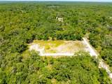 35366 Peanut Drive - Photo 3