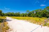 35366 Peanut Drive - Photo 4