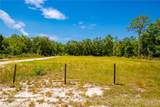 35366 Peanut Drive - Photo 5