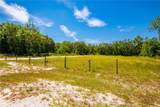 35366 Peanut Drive - Photo 7