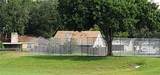 1631 Cobbler Drive - Photo 43