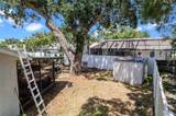 12849 Palm Drive - Photo 25