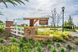 13642 Artesa Bell Drive - Photo 78