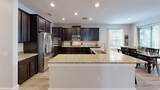 27954 Wild Sienna Loop - Photo 4
