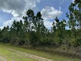 3621 Calendula Drive - Photo 3