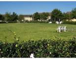 4003 Foxtail Palm Court - Photo 17