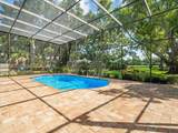 4405 Carrollwood Village Drive - Photo 3