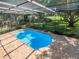 4405 Carrollwood Village Drive - Photo 47
