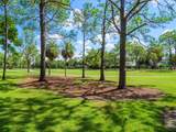 4405 Carrollwood Village Drive - Photo 59
