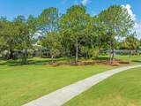 4405 Carrollwood Village Drive - Photo 75