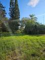 18905 Aripeka Road - Photo 11