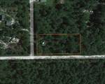 2953 Royal Palm Drive - Photo 3