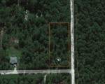 2953 Royal Palm Drive - Photo 4