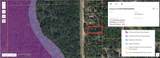 3113 Water Oak Road - Photo 2