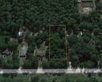 3113 Water Oak Road - Photo 4