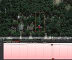 3113 Water Oak Road - Photo 5