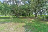 5231 Emory Drive - Photo 10