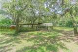 5231 Emory Drive - Photo 14