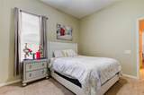 25954 Risen Star Drive - Photo 49