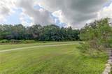 25954 Risen Star Drive - Photo 80