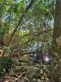  Aripeka Road - Photo 12