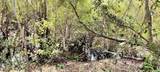 96 Sheltering Oaks Drive - Photo 10