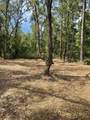 10634 Mataro Avenue - Photo 8