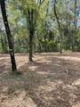 10634 Mataro Avenue - Photo 9