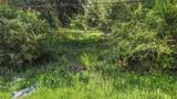 26148 Foamflower Boulevard - Photo 3