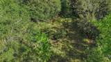 26148 Foamflower Boulevard - Photo 6