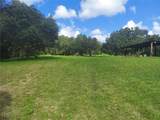 12016 Bullfrog Creek Road - Photo 10