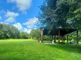 12016 Bullfrog Creek Road - Photo 2